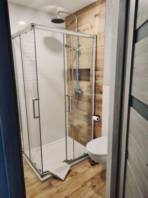 Apartament Poniatowskiego Z Parkingiem Гливице Экстерьер фото